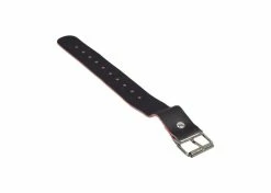 Cheapest 🤩 Sunlite Quick Release Wicker Basket Replacement Strap 🛒 -electric-bicycle Shop k92 1060 1