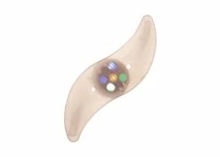 Deals 🧨 Mon Ster LED Spoke Light For Bikes & Scooters 🎉 -electric-bicycle Shop led spoke light 4